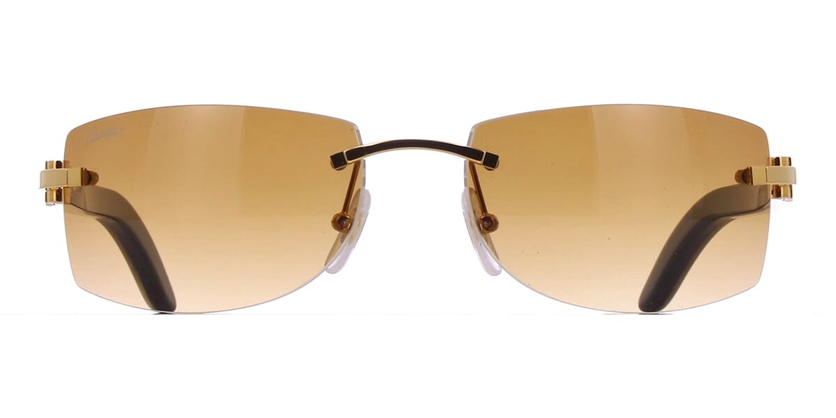 Cartier Buffalo Horn CT0017RS 001 7FA Sunglasses