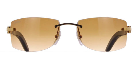 Cartier Buffalo Horn CT0017RS 001 7FA Sunglasses