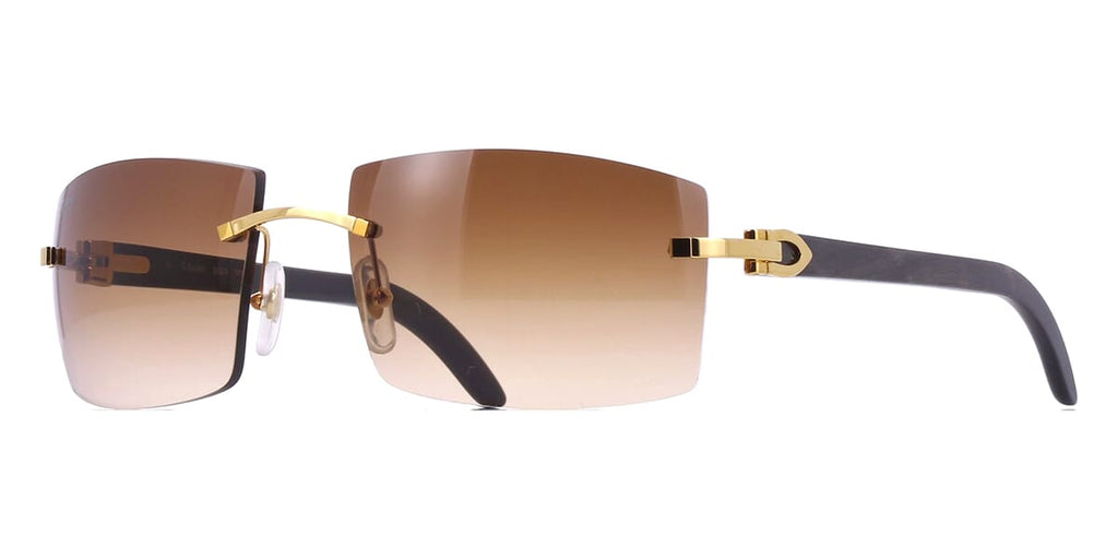 Cartier Buffalo Horn CT0021RS 001 2JT Sunglasses