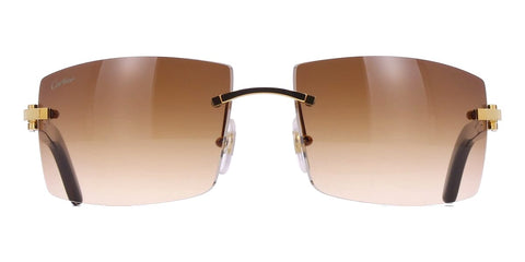 Cartier Buffalo Horn CT0021RS 001 2JT Sunglasses