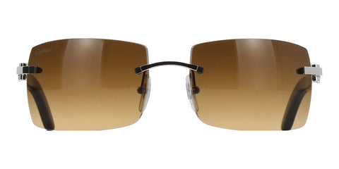 MASTER SKU – Cartier CT0024RS 001 LTD Edition Buffalo Horn
