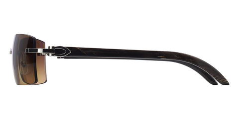 MASTER SKU – Cartier CT0024RS 001 LTD Edition Buffalo Horn