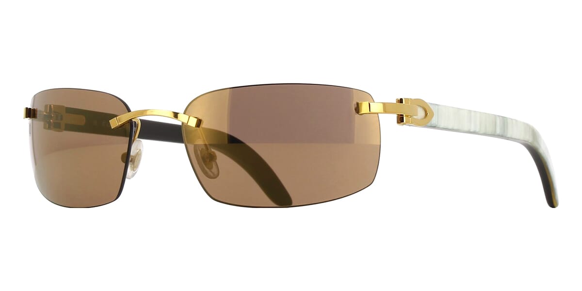 buffalo with goggles Cartier CT0046S