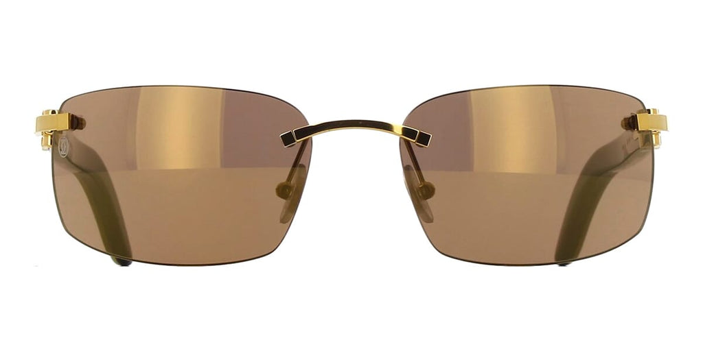 Cartier Buffalo Horn CT0046S 004 Sunglasses - US