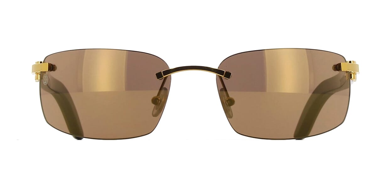 Cartier Buffalo Horn CT0046S 004 6J4 Sunglasses - US