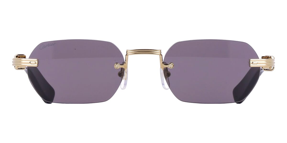 Cartier Buffalo Horn CT0362S 001 3J1 Sunglasses