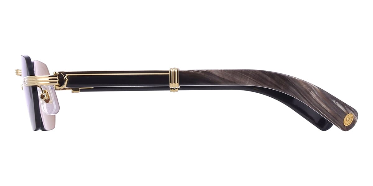 Cartier Buffalo Horn CT0362S 001 3J1 Sunglasses