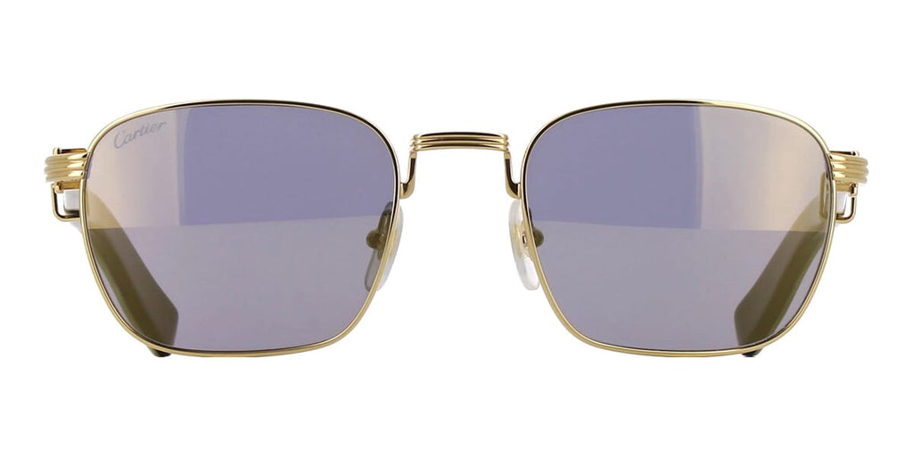 Cartier Buffalo Horn CT0363S 003 3AC Sunglasses - US