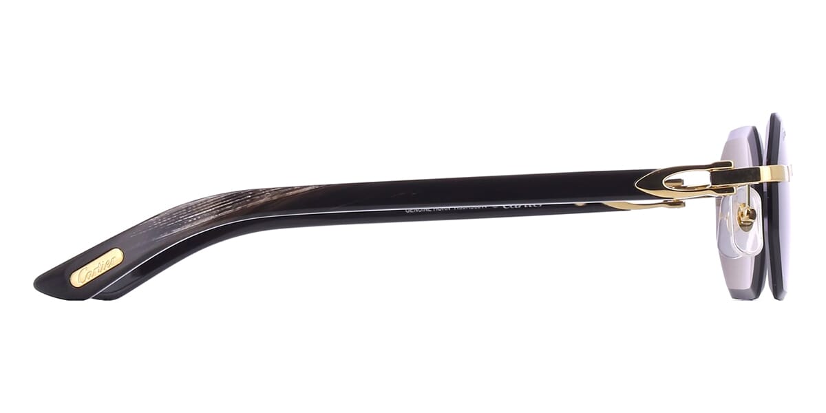 Cartier Buffalo Horn CT0439S 001 0JW Sunglasses