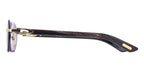 Cartier Buffalo Horn CT0439S 001 0JW Sunglasses