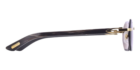 Cartier Buffalo Horn CT0439S 001 1LD Sunglasses