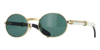 Cartier Buffalo Horn CT0464S 007 - As Seen On Anderson .Paak