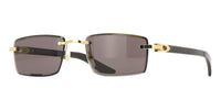 Cartier Buffalo Horn CT0582S 001 7G9