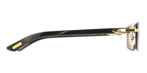 Cartier Buffalo Horn CT0582S 001 7G9 Sunglasses