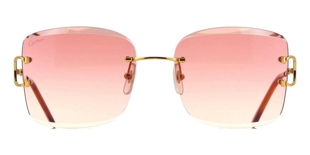 cartier-ct0007rs-001-hd-