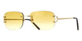 Cartier CT0011RS 002 Sunglasses