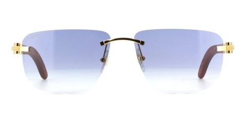 Cartier CT0040RS 001 Sunglasses