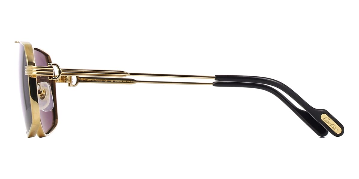 Cartier CT0270S 005 Sunglasses
