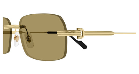 Cartier CT0271S 009