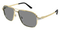 Cartier CT0424S 006 Photochromic Sunglasses