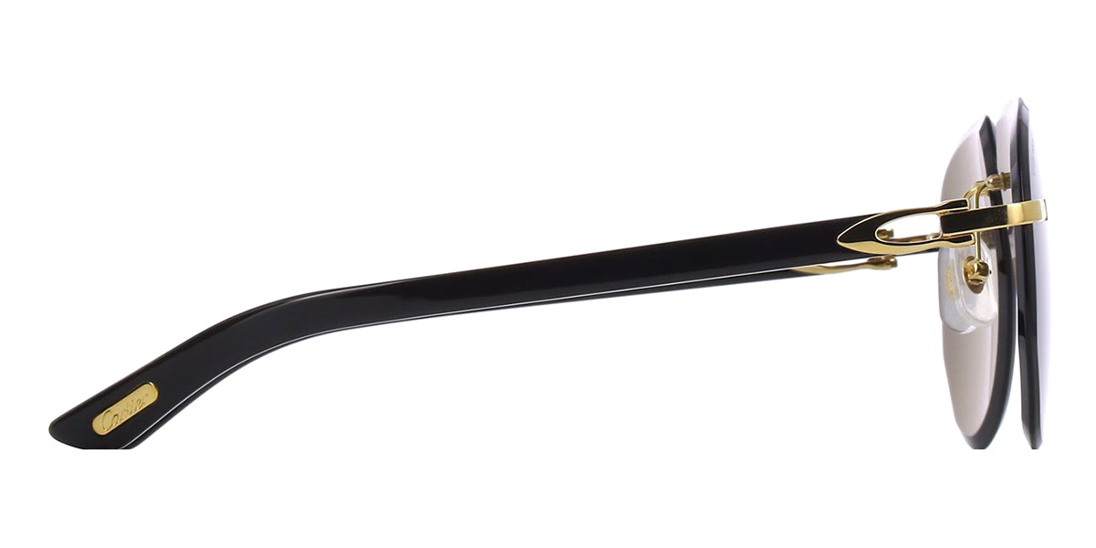 Cartier CT0440S 001 Sunglasses - US