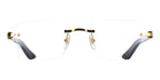 Cartier Buffalo Horn CT0453O 001