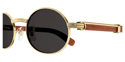 Cartier CT0464S 002