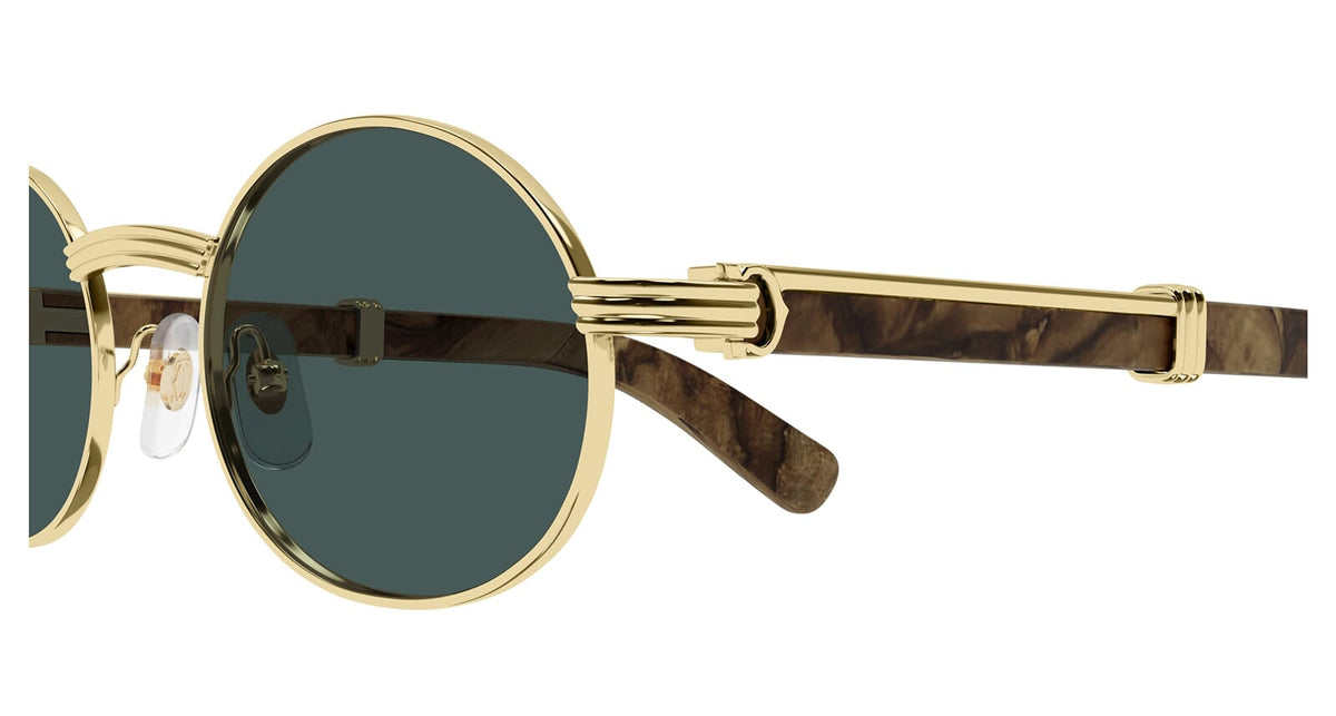 Cartier CT0464S 010