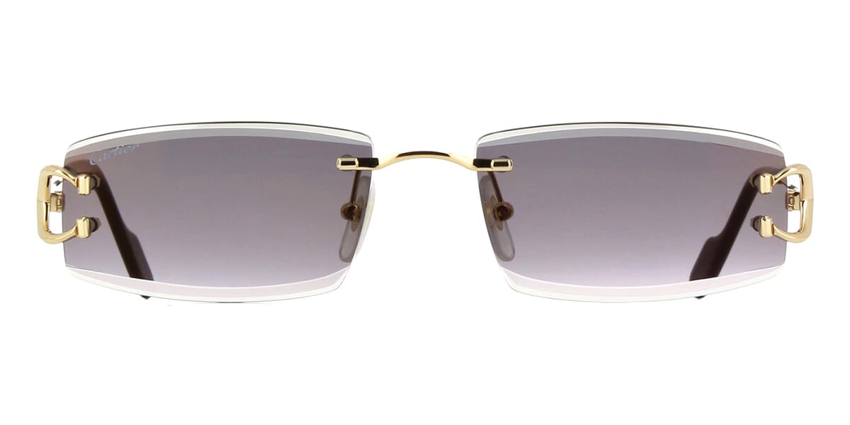 Cartier CT0465S 001 Sunglasses
