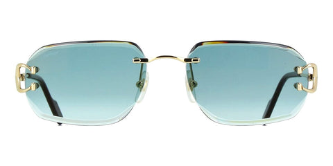 Cartier CT0468S 003 Sunglasses