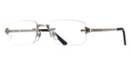Cartier CT0479O 002 Glasses