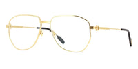 Cartier CT0484O 001