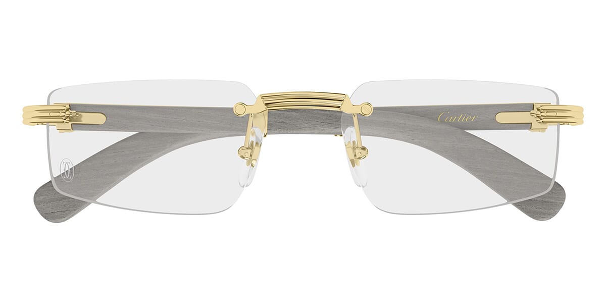 Cartier CT0485O 005 Glasses