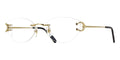 Cartier CT0487O 001 Glasses