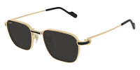 Cartier CT0497S 006