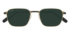 Cartier CT0497S 008 Sunglasses