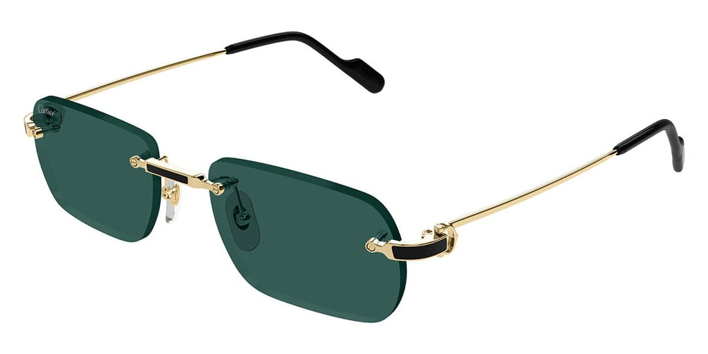 Cartier CT0498S 003 Sunglasses