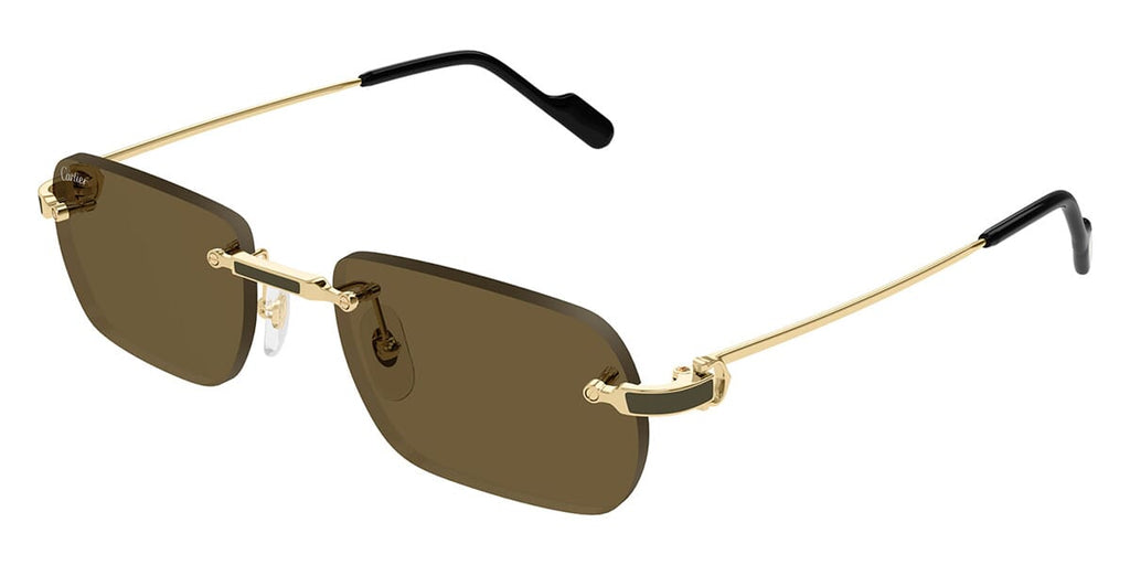 Cartier CT0498S 005 Sunglasses