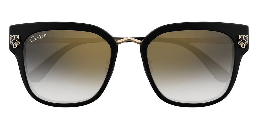 cartier-ct0509sa-001-hd-  display picture 3