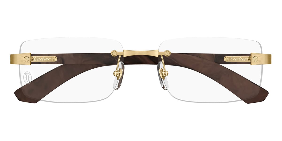 Cartier CT0513O 004 Glasses