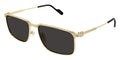 Cartier CT0534S 001 Sunglasses