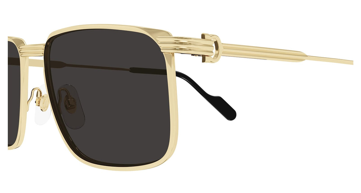 Cartier CT0534S 001