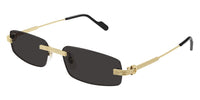 Cartier CT0535S 001 - As Seen On Bambi Northwood-Blyth