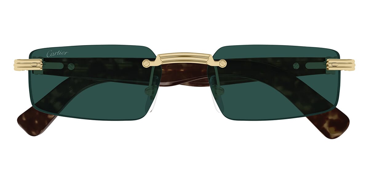 Cartier CT0537S 002