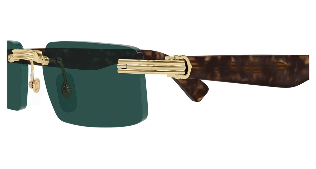 Cartier CT0537S 002
