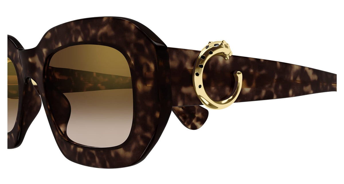 Cartier CT0546S 002