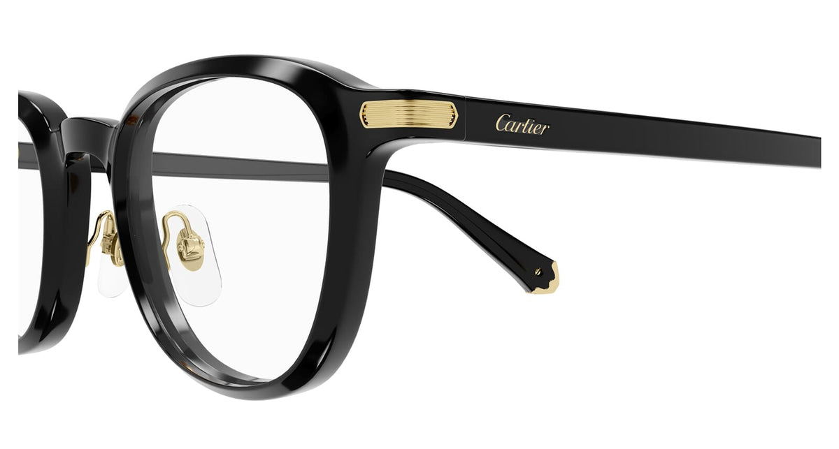 Cartier CT0560O 001