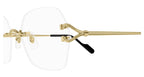 Cartier CT0564O 001