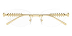 Cartier CT0565O 001 Glasses