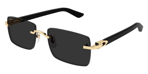 cartier-ct0579s-001-hd-